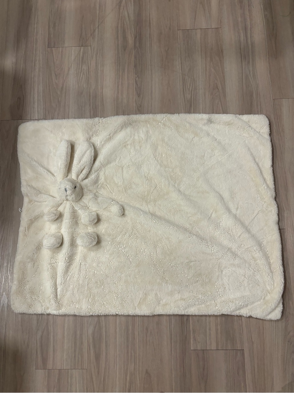 Pottery Barn Kids Plush Cream Bunny Baby Blanket